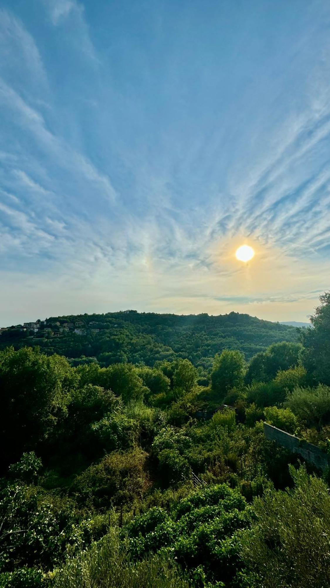 Sosta In Sila Bed & Breakfast Spezzano Piccolo Dış mekan fotoğraf